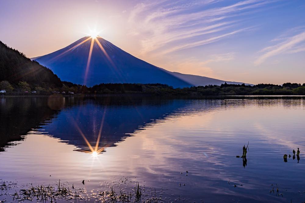 【2024年版】静岡の撮影スポット15選！富士山・夜・桜などお出かけ好きな筆者が紹介