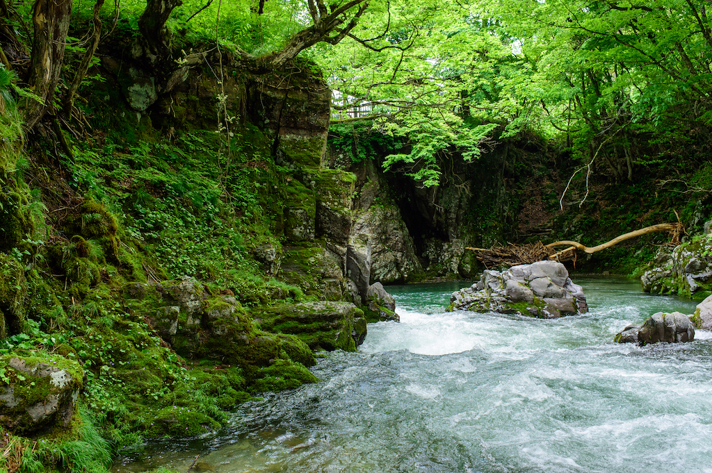 秋田の撮影スポット15選！湖・温泉・渓谷・花火など秋田観光通の筆者が紹介｜アニーお祝い体験マガジン