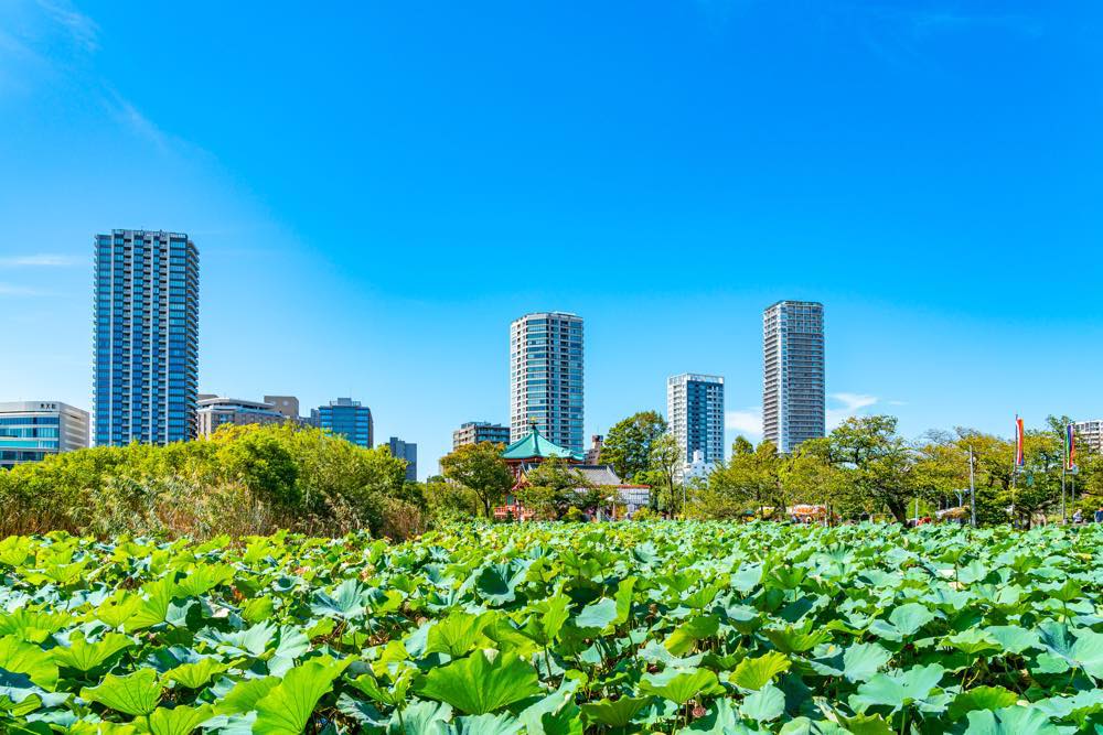 【保存版】上野でつけ麺ならここ！関東在住の筆者おすすめの15選【人気店・濃厚・あっさり系・創作メニューなど】