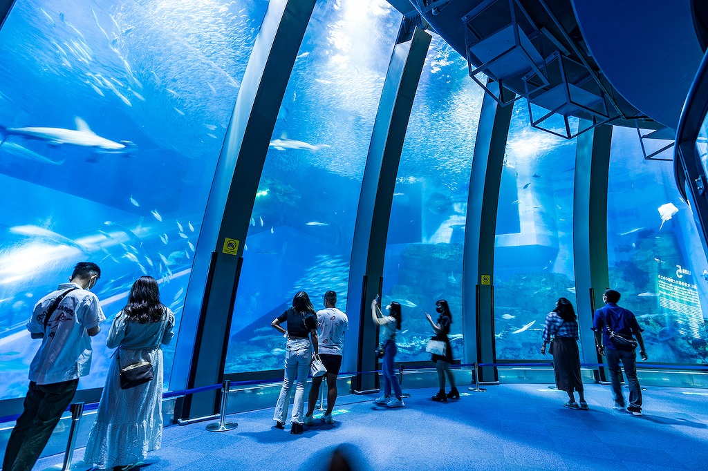 神奈川の水族館15選！デート・安い入場料・穴場スポットまで神奈川在住30年以上のお出かけ好きな筆者がご紹介！
