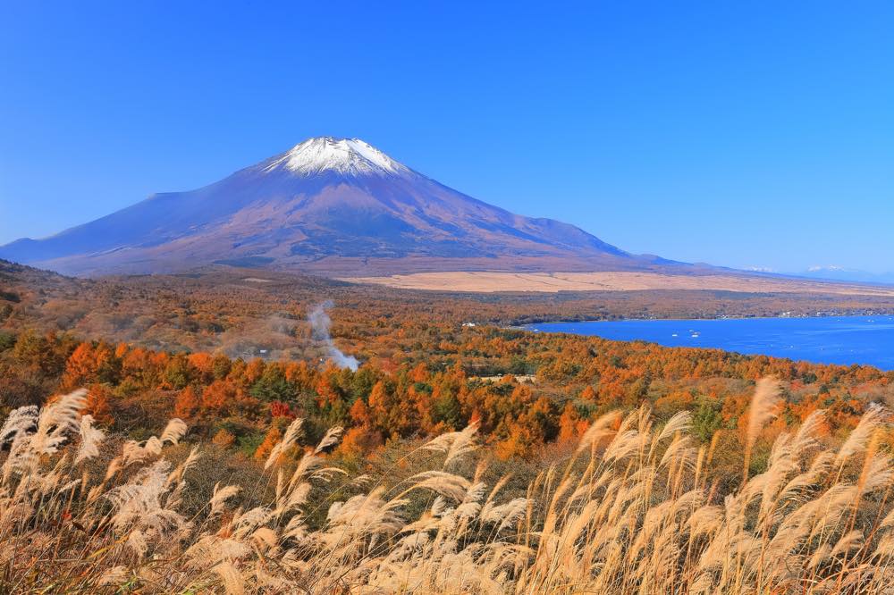 【保存版】山梨の誕生日ランチ15選！景色が綺麗・誕生日プラン・子連れOKなどお祝い向きのお店を山梨をよく訪れる筆者が厳選