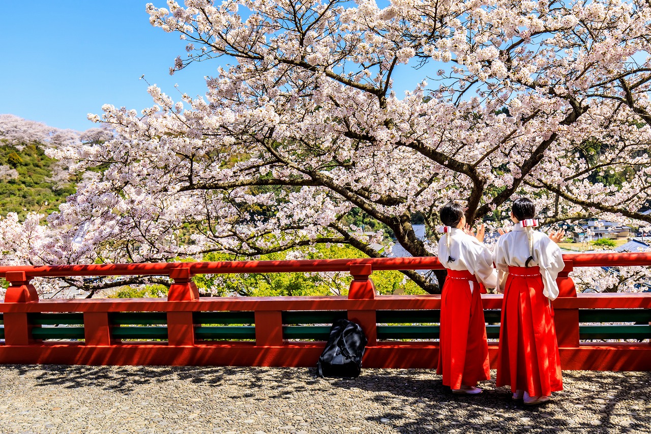 【2024年度版】佐賀の花見スポット15選！定番・神社仏閣・公園などお出かけ大好きな筆者が紹介