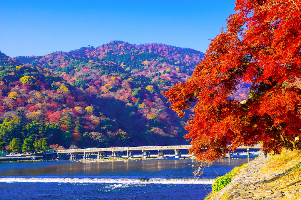 【保存版】秋に行きたい関西のおすすめデートスポット30選！定番・絶景・自然・歴史など関西でたくさんデートしてきた筆者が紹介