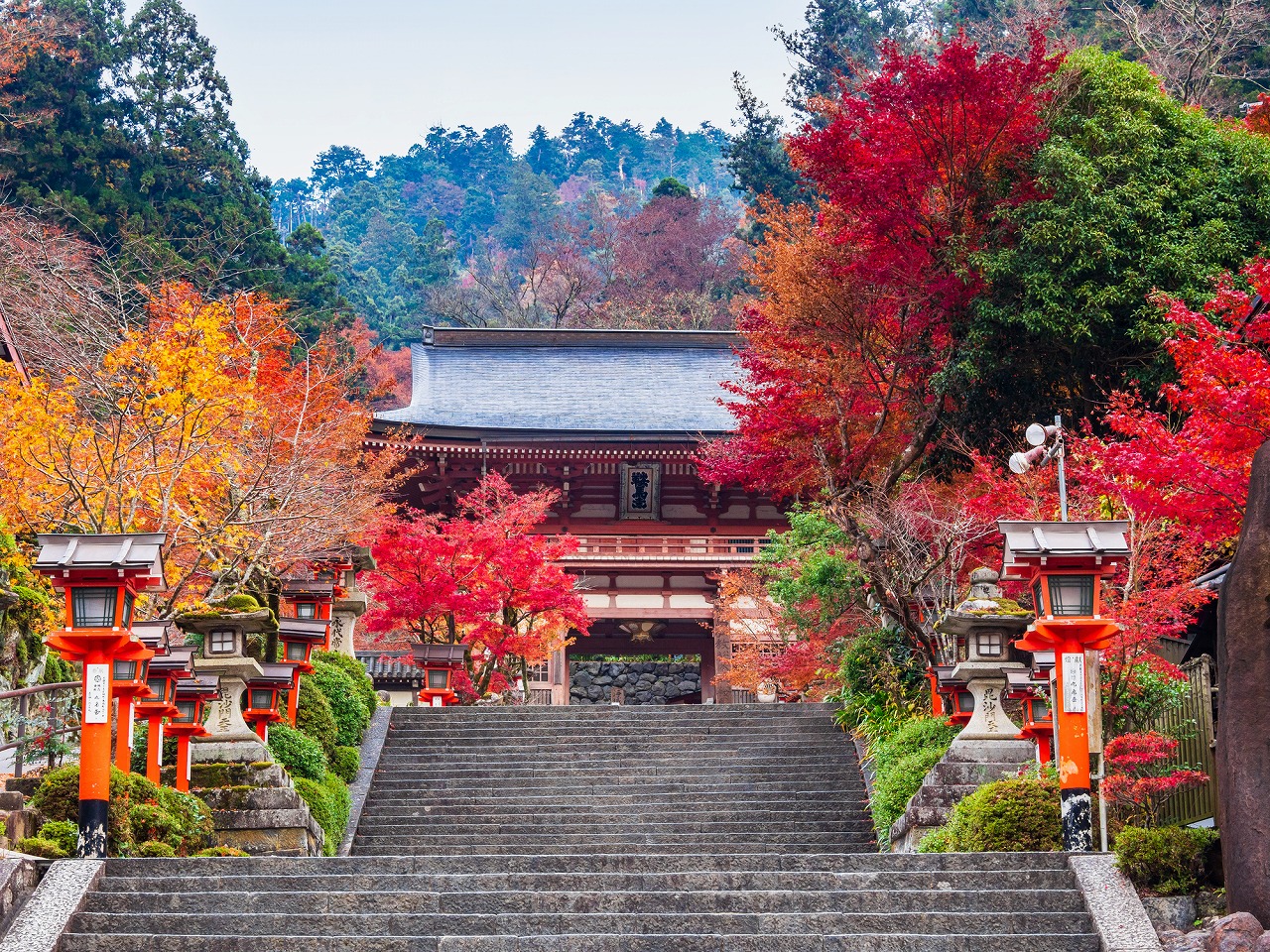 【2024年版】京都市のおでかけスポット30選！花見・紅葉・甘味処など旅行好きな筆者が紹介