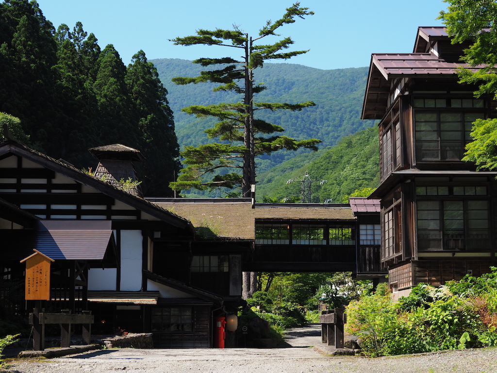 【保存版】還暦祝いの食事に！群馬のお店15選！ホテル内・個室あり・子連れOKなど長寿のお祝い向きのお店を群馬出張経験者が厳選