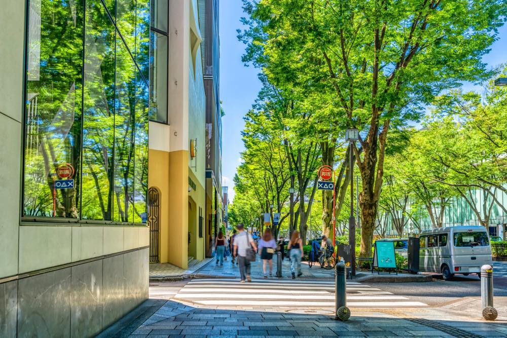 【保存版】表参道で洋食ならここ！表参道通の筆者おすすめの17選【SNS映え・おしゃれなお店・個室や高級店など】