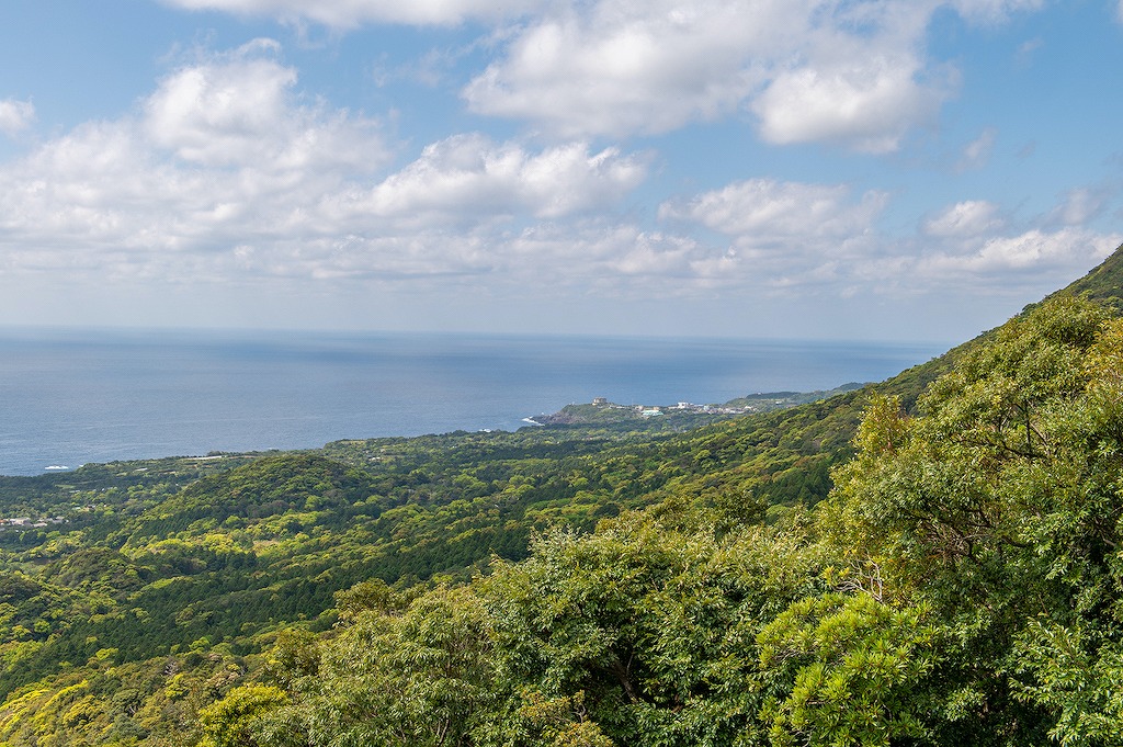 【保存版】屋久島町のレストラン15選！カップルのデートや記念日にもおすすめ【屋久島好きが徹底ガイド】景観◎・カフェレストラン・ホテル内・オーシャンビューなど