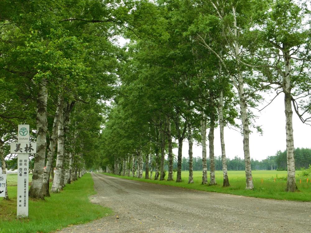 22年版 帯広 十勝エリアドライブデート50選 北海道通の筆者おすすめの絶景 観光 穴場 グルメスポット ページ 2 4 アニーお祝い体験マガジン By ギフトモール 22年版 帯広 十勝エリアドライブデート50選 北海道通の筆者おすすめの絶景 観光 穴場 グルメスポット ページ 2 4 アニーお祝い体験マガジン By ギフトモール