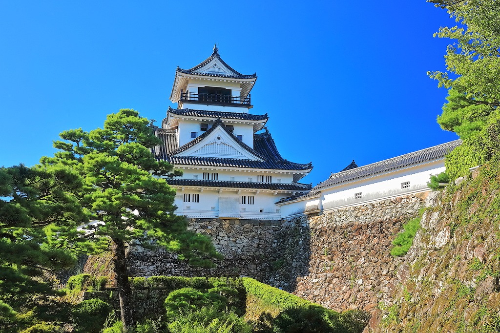 高知県のおしゃれでおいしい居酒屋15選！お洒落・隠れ家・コスパ抜群など飲み会にもおすすめのお店を高知の居酒屋で多くの安らぎを得たグルメライターが厳選