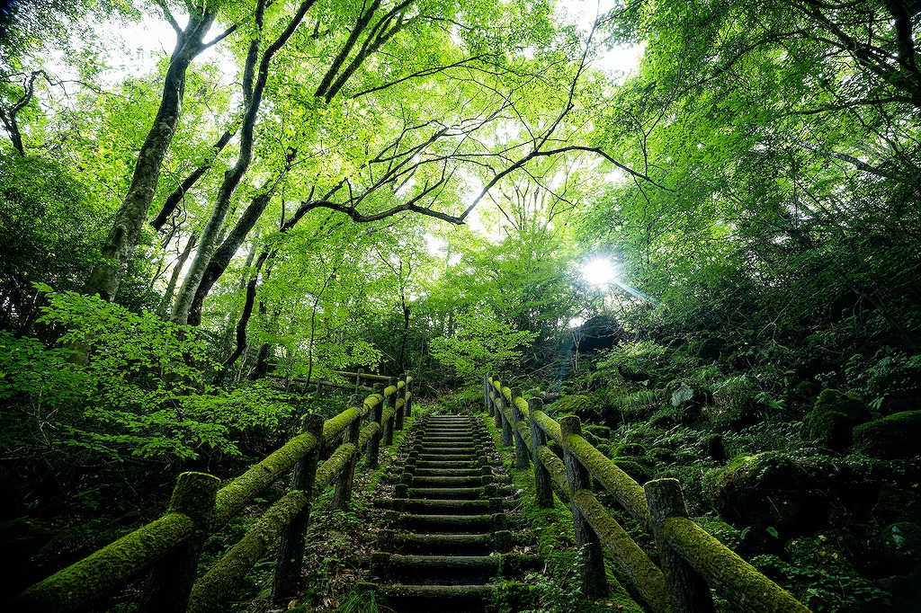 【保存版】奈義町のランチならここ！カップルのデートや記念日にもおすすめ【岡山通が徹底ガイド】レトロ喫茶・洋食レストラン・デート・ロケーション抜群など