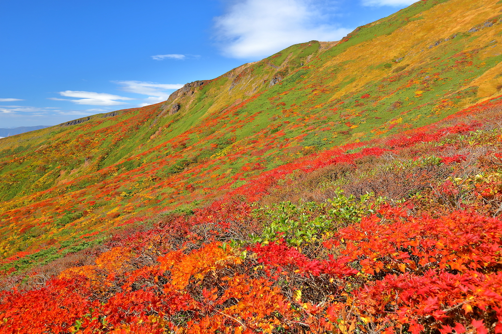 宮城の遊び場・暇つぶしスポット30選！リフレッシュ・光の絶景・デイトリップなど旅行好きな筆者が紹介！