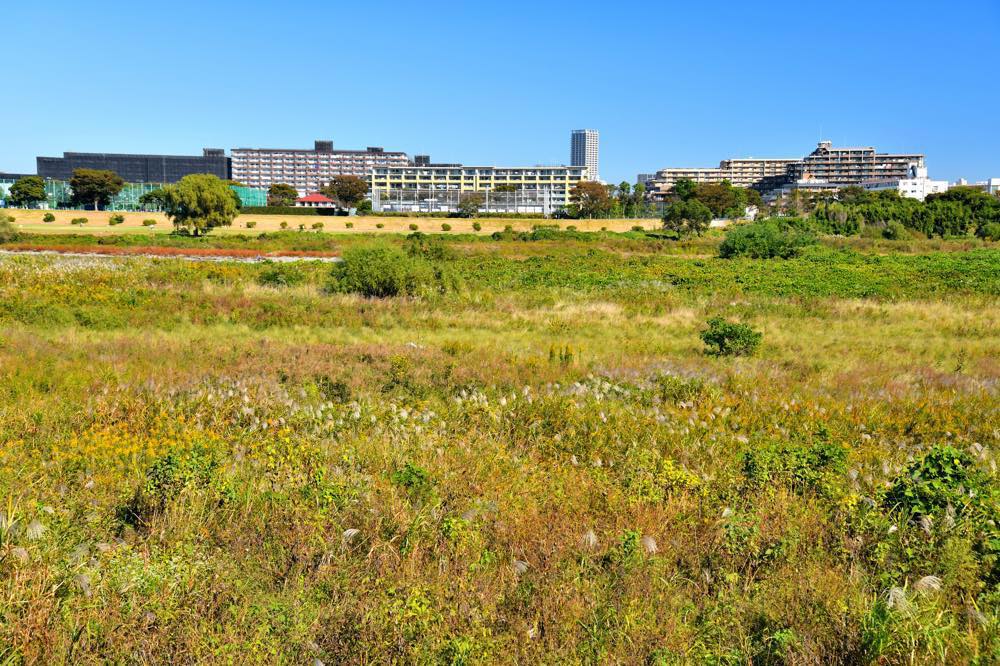 【保存版】調布で中華料理ならここ！関東在住の筆者おすすめの15選【中華そば・餃子・老舗・ランチにも◎】