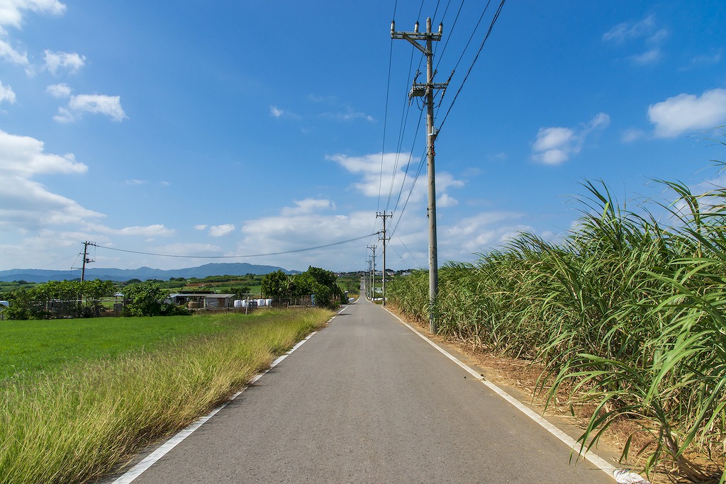 小浜島のおいしい居酒屋15選！沖縄料理・おしゃれ・コスパ◎など飲み会にもおすすめのお店を沖縄好きグルメライターが厳選