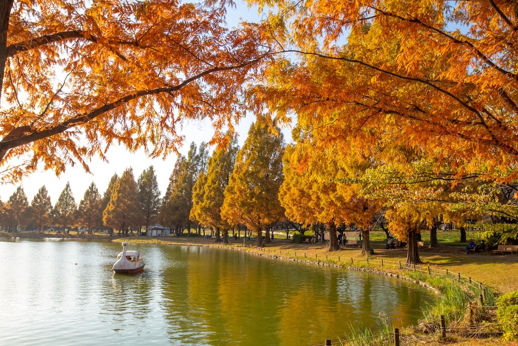 埼玉の撮影スポット15選！公園・絶景・SNS映えなどお出かけ好きな筆者が紹介