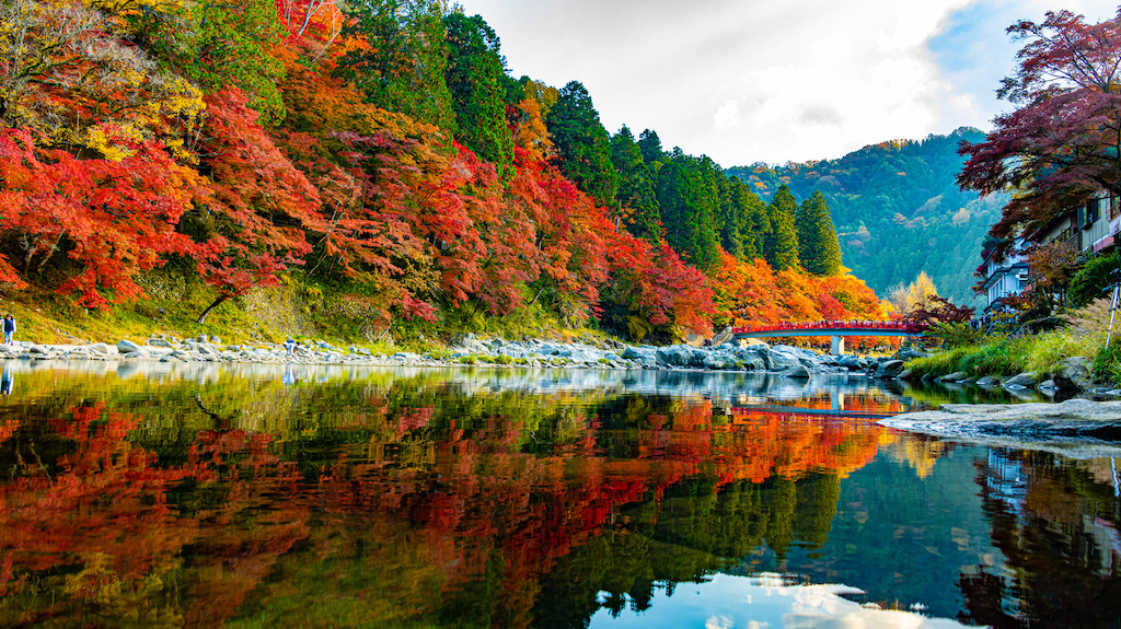 愛知の絶景スポット15選！山・海・季節限定の絶景など東海在住の筆者が紹介