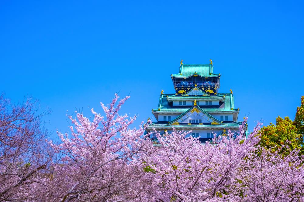 【近畿・温泉】記念日・誕生日など特別な日に泊まりたい旅館・ホテル15選！ロケーション◎・老舗旅館・美食など近畿在住の筆者が徹底調査！