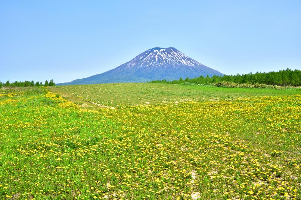 【保存版】倶知安のランチ15選！カップルのデートや記念日にもおすすめ【グルメライターが徹底ガイド】コスパ◎・カフェレストラン・おしゃれ・リーズナブルなお店など