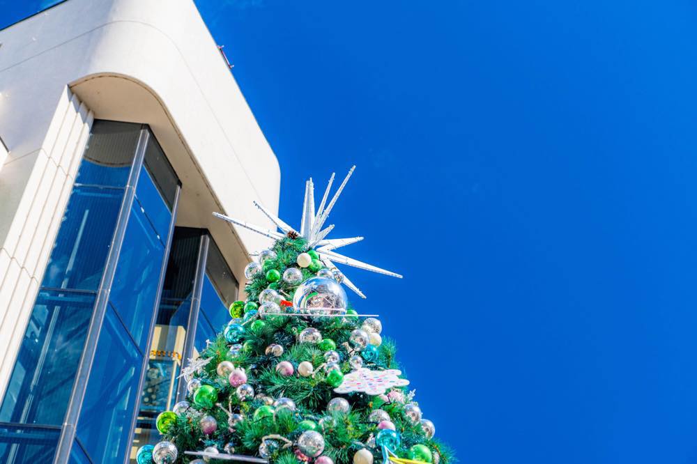 22年版 長野市のクリスマスランチ15選 個室あり 女子会向き 子連れokなお店を長野在住者が厳選 ページ 4 4 アニーお祝い体験マガジン By ギフトモール