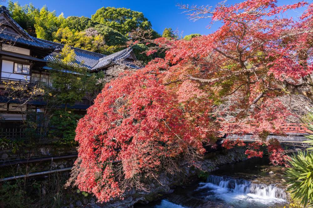 【湯河原温泉】両親に泊まってほしい旅館・ホテル15選！露天風呂付客室・こだわりの料理・絶景を楽しむ宿などサプライズ好きな筆者が徹底調査！