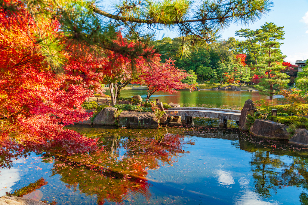 名古屋の庭園15選！人気の庭園・寺院の庭園・カフェから楽しむ庭園など東海在住の筆者が紹介