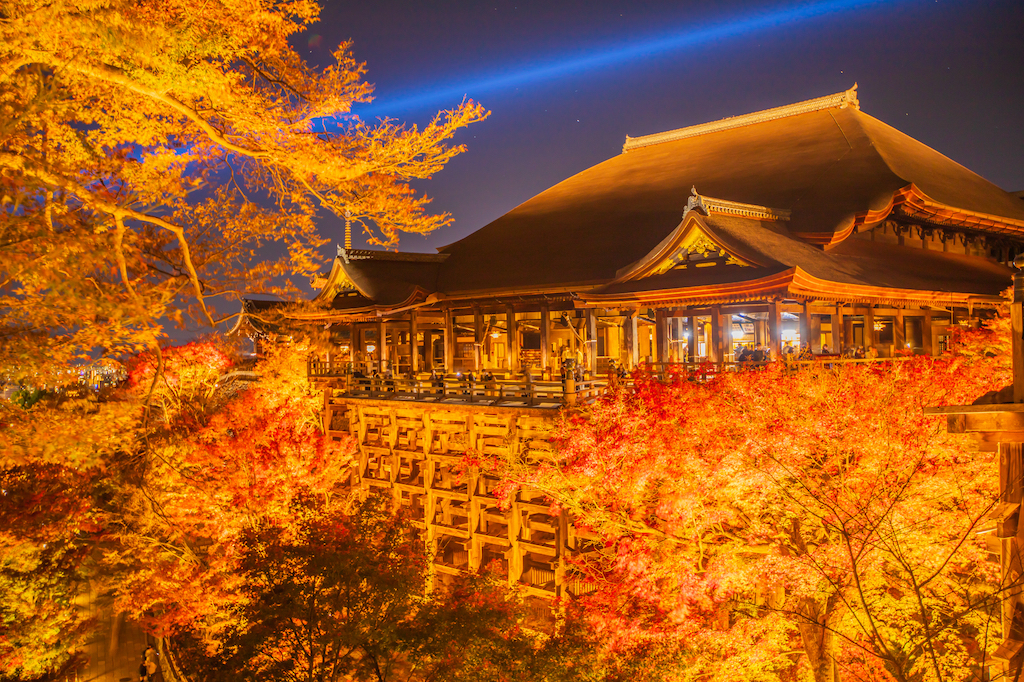 京都のおでかけスポット30選！美術館・お寺・お土産スポットなど旅行好きな筆者が紹介！