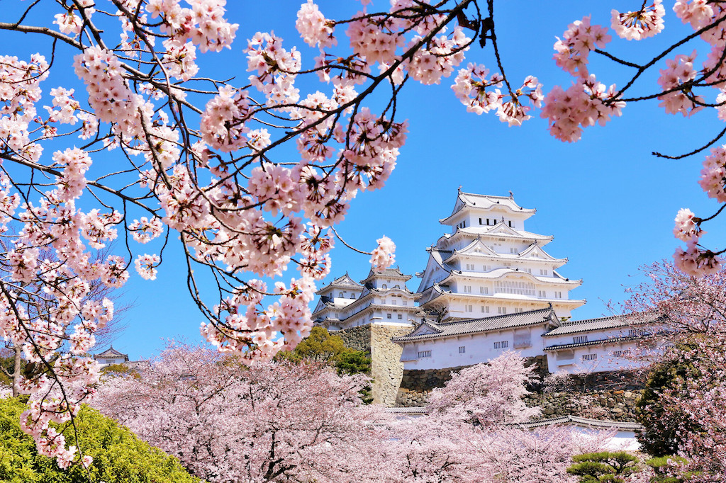 兵庫の自然スポット15選！山・水・花など国内旅行が大好きな筆者が紹介