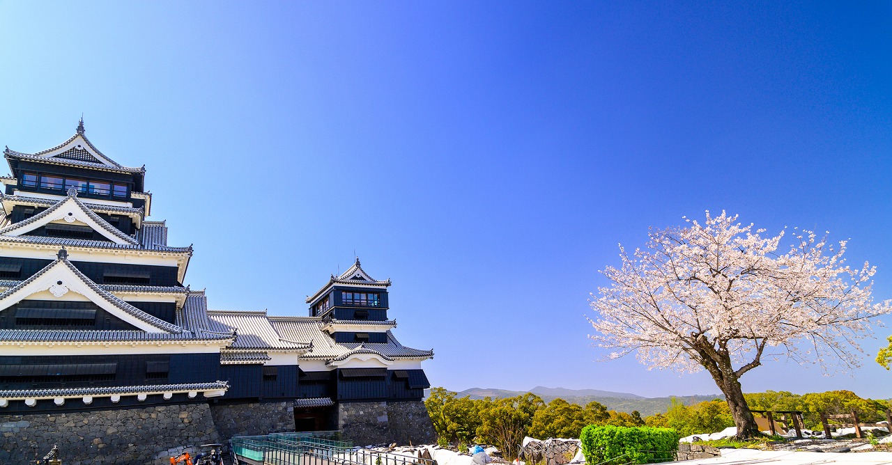 【2024年度版】熊本の桜・お花見・河津桜スポット15選！定番・公園・神社仏閣などお出かけ大好きな筆者が紹介