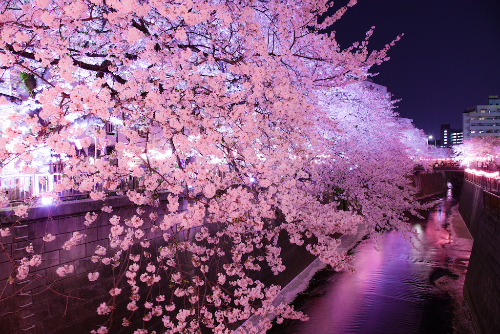 東京の絶景スポット30選！リフレッシュ・ときめき・桜絶景など旅行好きな筆者が紹介
