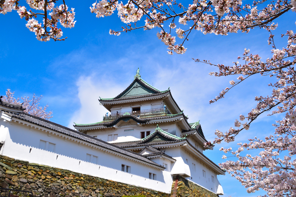 【2024年版】和歌山の花見スポット15選！歴史・絶景・自然など関西で生まれ育った筆者が紹介