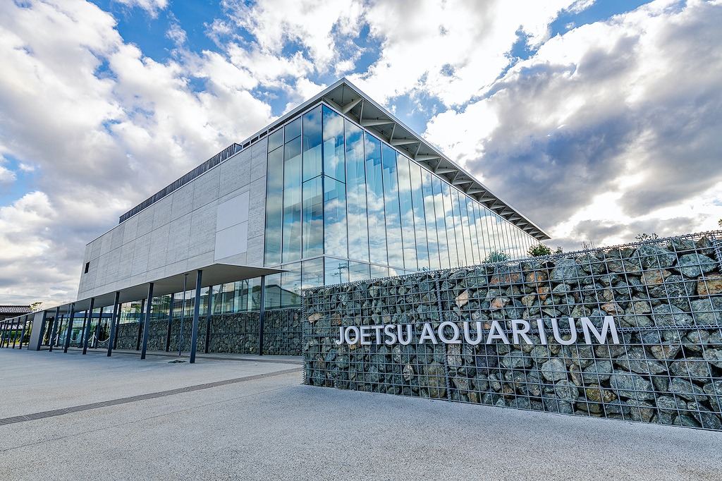 【保存版】上越水族館周辺のランチならここ！カップルのデートや記念日にもおすすめ【新潟グルメ通が徹底ガイド】ビブグルマン・オーシャンビュー・レア地酒・カニ三昧