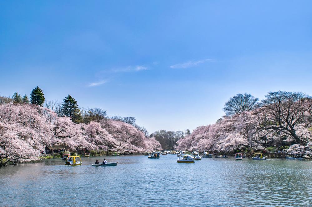 【保存版】三鷹でそばならここ！元東京在住者おすすめの15選【コスパ◎・老舗・リーズナブルなど】