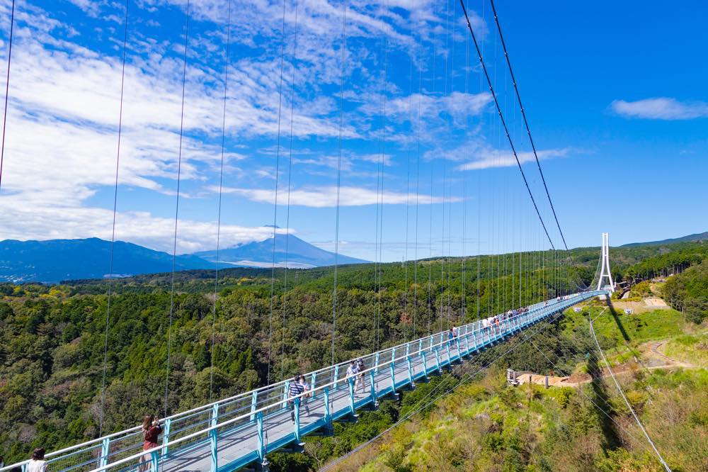 【保存版】ペット可な箱根温泉旅館おすすめ10選【温泉好きライターが徹底紹介】ロケーション◎・ドッグラン・源泉掛け流しなど