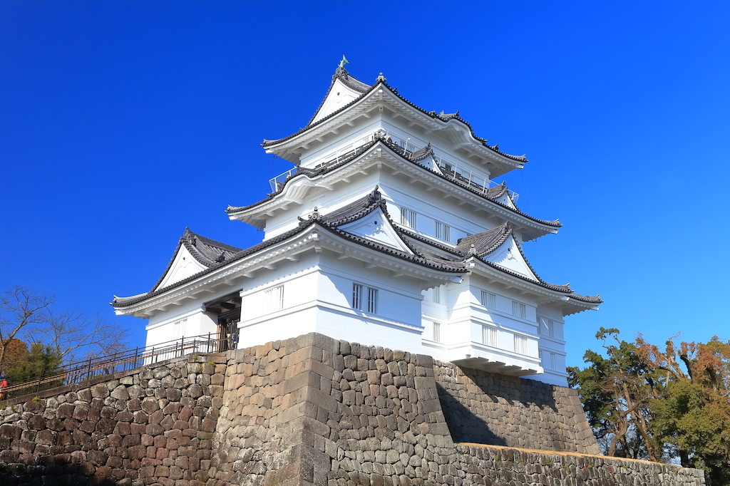 【保存版】小田原の海鮮ランチならここ！カップルのデートや記念日にもおすすめ【グルメライターが徹底ガイド】コスパ◎・寿司・海鮮丼など