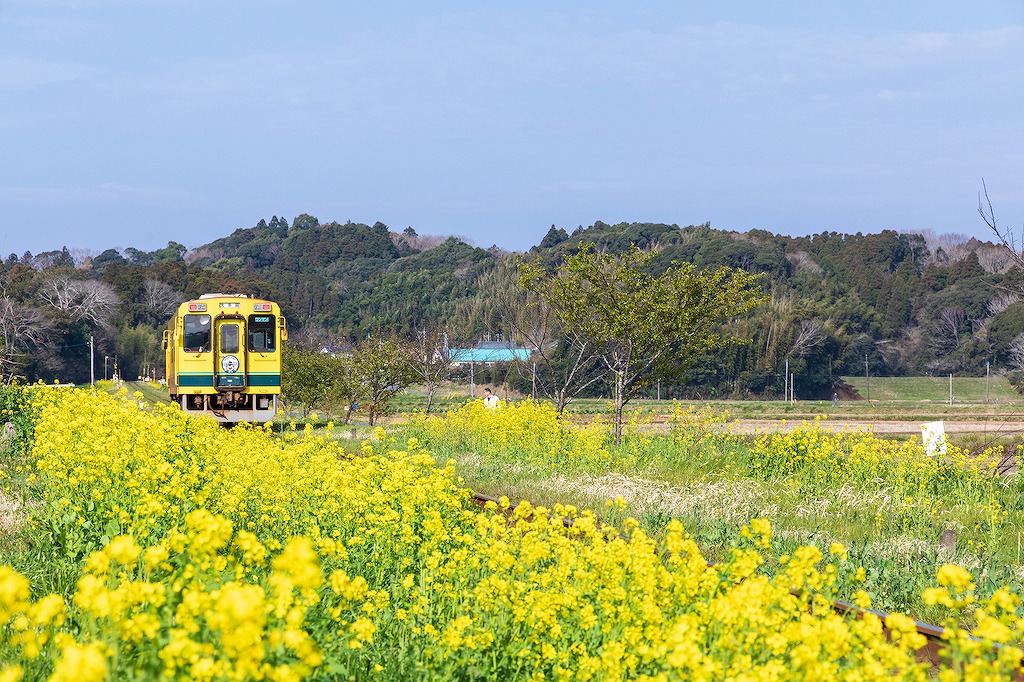 【2023年度版】千葉県で銀婚式のお祝いにぴったりなお店15選！個室やホテルなど千葉県在住で銀婚式のお祝い経験ありの筆者が厳選！