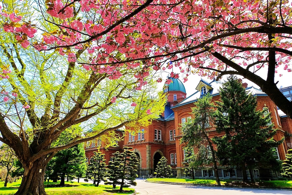 【保存版】札幌のフレンチランチ15選！カップルのデートや記念日にもおすすめ【フレンチ通が徹底ガイド】デート・記念日・おしゃれ・北海道産・リーズナブルなど