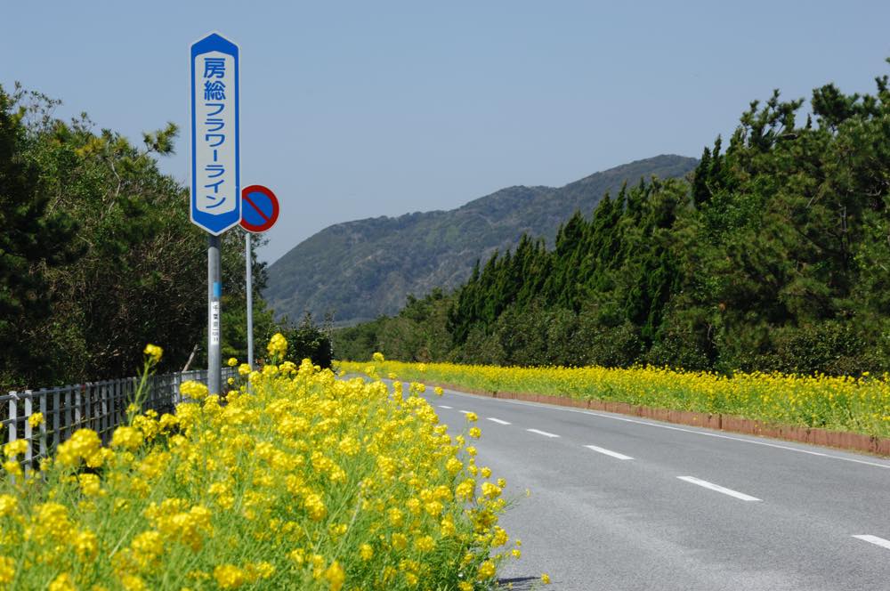 【保存版】館山ドライブデートならここ！千葉県在住の筆者おすすめの15スポット【インスタ映え◎海鮮丼・景色のいい穴場スポットなど】