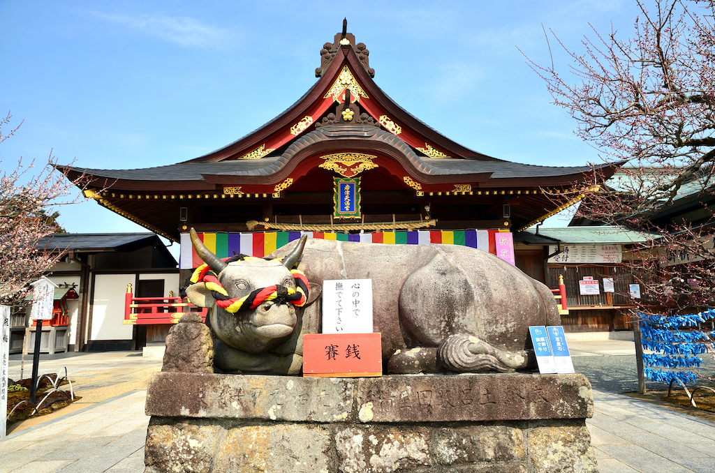 【保存版】還暦祝いの食事に！岡崎のお店16選！個室・お祝いプランあり・和食など長寿のお祝い向きのお店を愛知県民が厳選