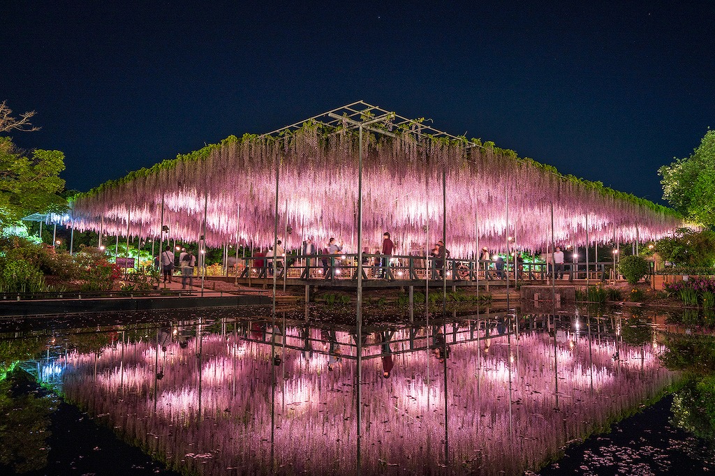 栃木のお金のかからないおでかけスポット30選！絶景・パワースポット・社会科見学など旅行好きな筆者が紹介