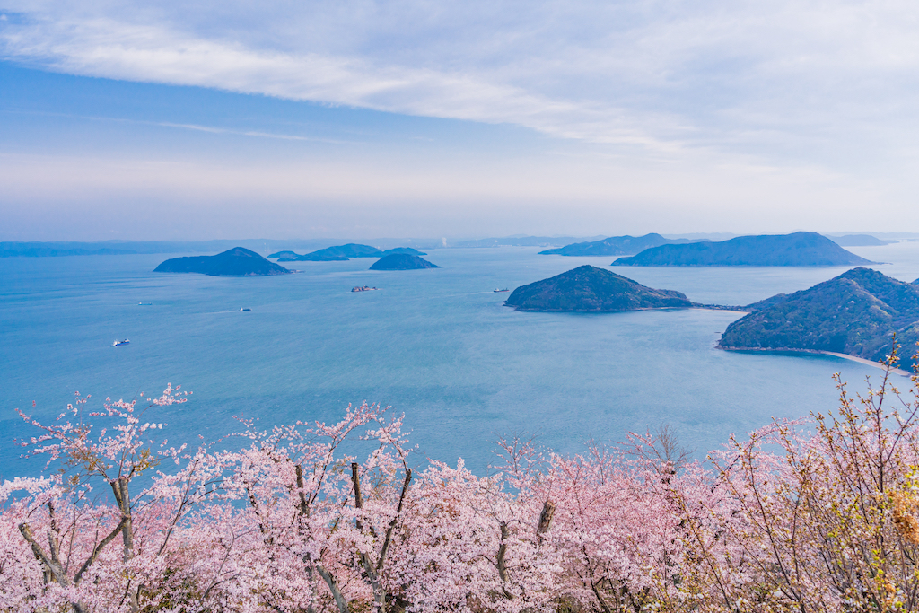 香川の桜・お花見・河津桜スポット15選！定番・観光地・穴場など香川で過ごした経験を持つ筆者が紹介