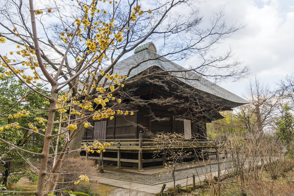 【保存版】還暦祝いの食事に！所沢のお店15選！和食・高級店・子連れOKなど長寿のお祝い向きのお店を庶民派グルメを愛する筆者が厳選