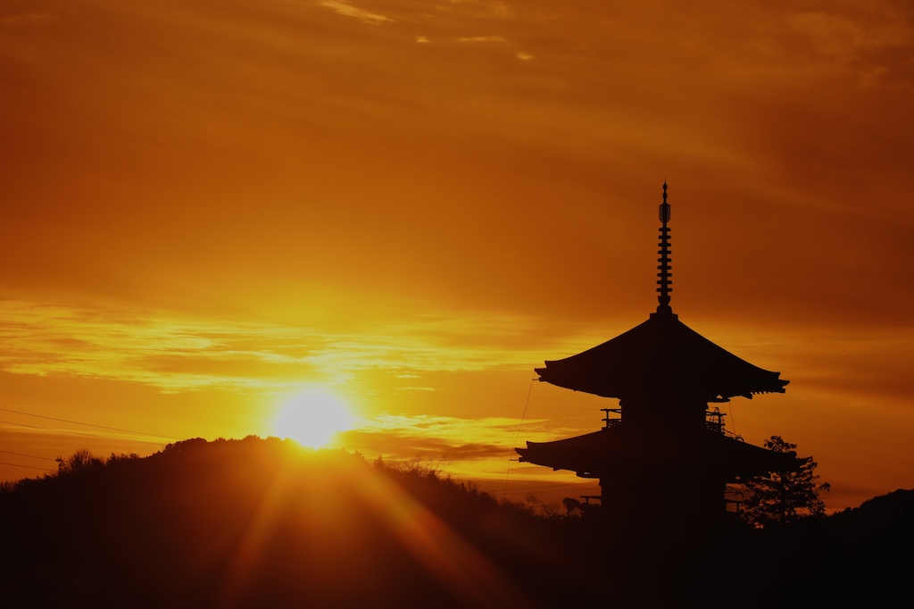 奈良の撮影スポット15選！世界遺産・街歩き・桜・パノラマ夜景など奈良観光通の筆者が紹介