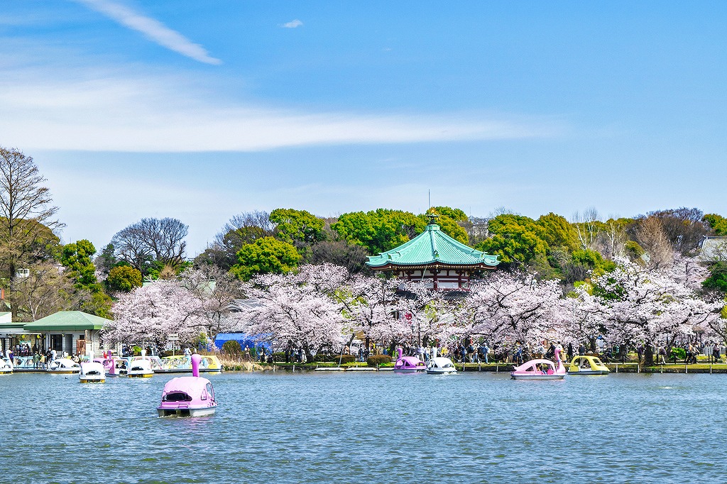 【保存版】上野でしゃぶしゃぶならここ！関東在住の筆者おすすめの15選【コスパ◎・おしゃれ・高級店・食べ放題など】