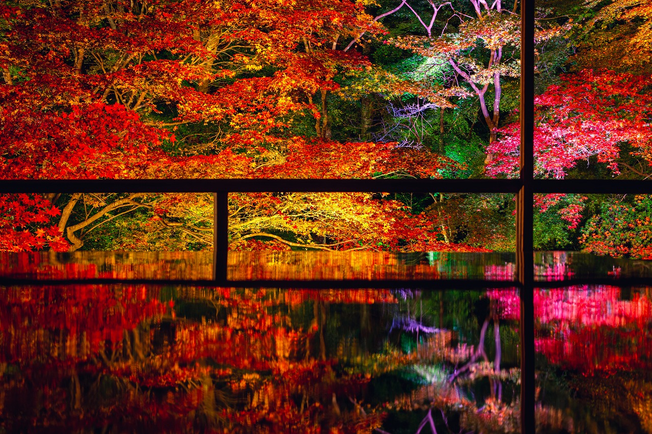 【2024年版】京都市の絶景スポット30選！紅葉・重要文化財・桜絶景など旅行好きな筆者が紹介