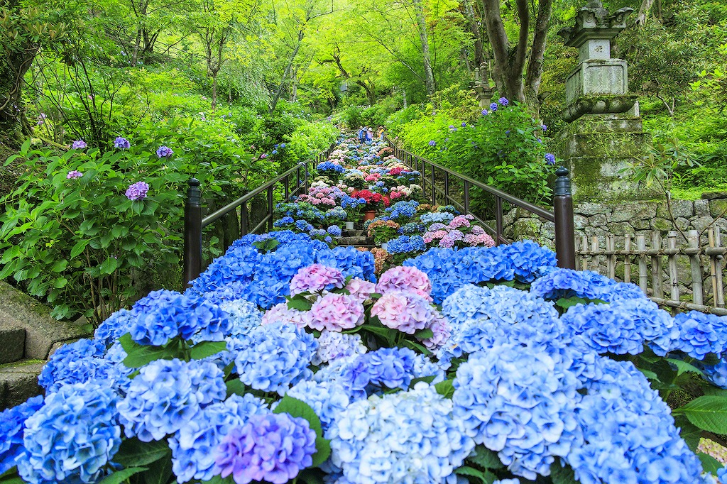 奈良の神社・お寺15選！絶景・開運招福・縁結びなど旅行好きな筆者が紹介！