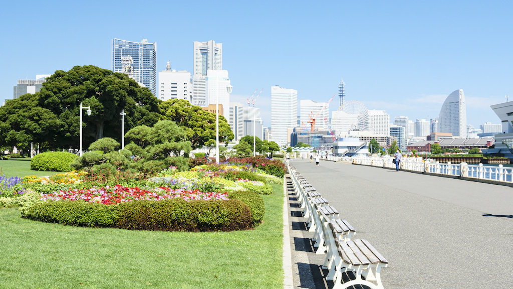 横浜のピクニックスポット15選！アクセス◎・自然・公園など横浜在住の小学生ママの筆者が紹介