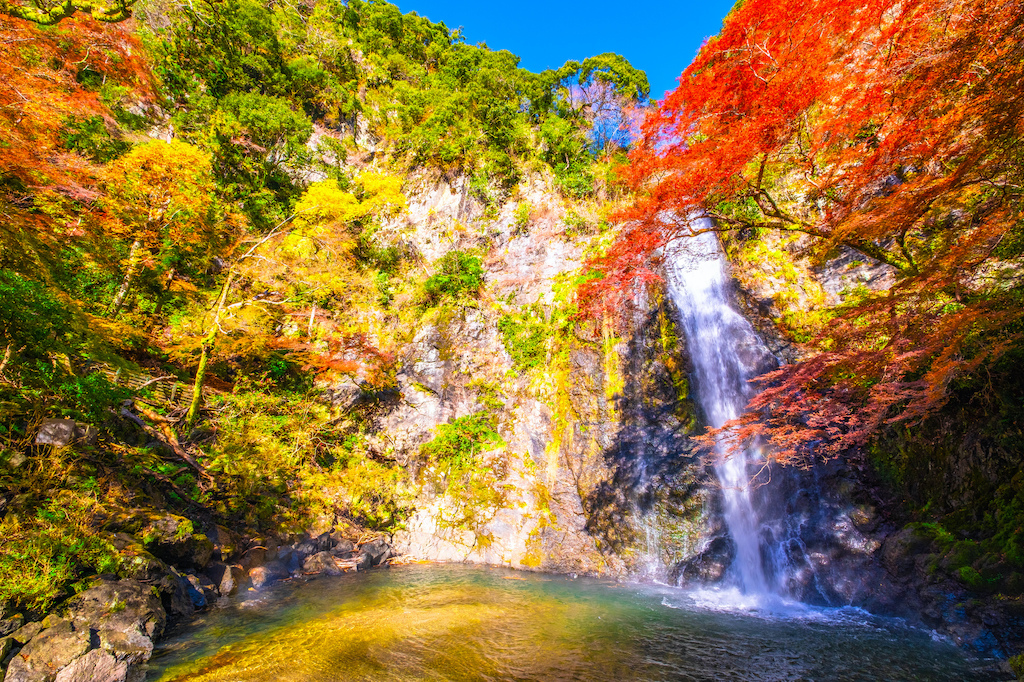 大阪の紅葉スポット15選！古刹・自然公園・渓谷・ライトアップなど生まれも育ちも関西の筆者が紹介