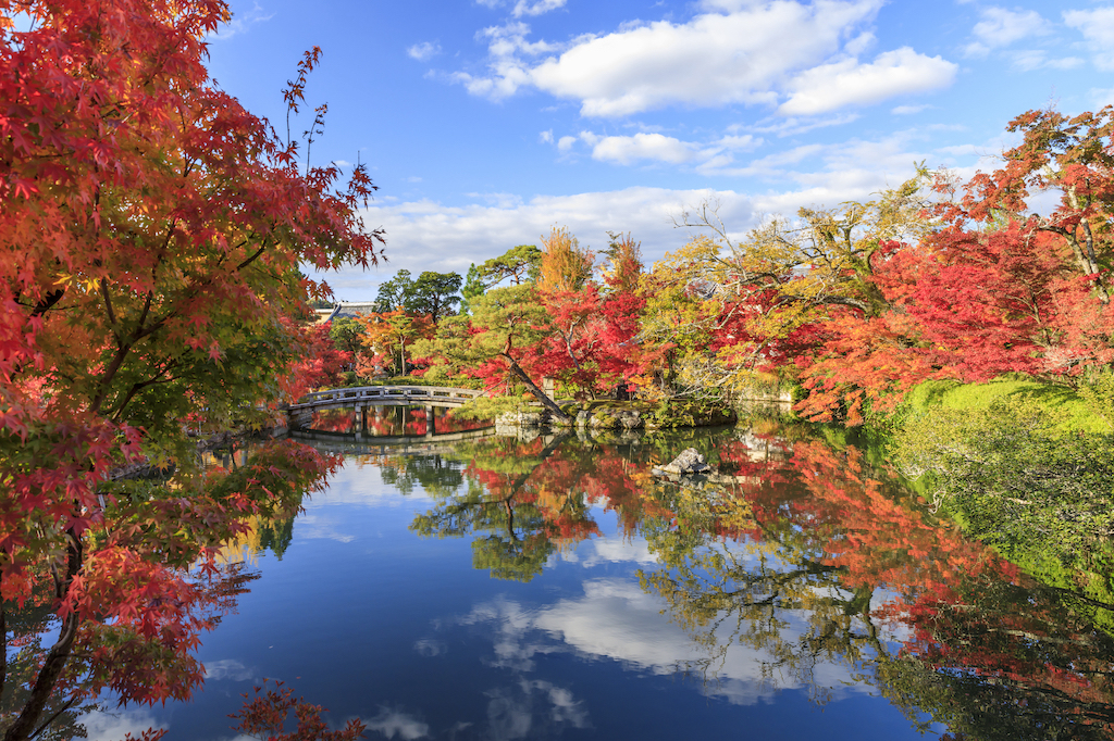 【2024年版】京都の穴場おでかけスポット30選！紅葉・神社仏閣・日本美術など旅行好きな筆者が紹介