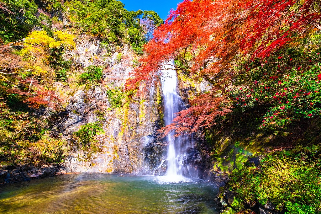 【保存版】箕面・船場のランチならここ!カップルのデートや記念日にもおすすめ【大阪府民が徹底ガイド】古民家・カフェ・ロケーション良・デート・女子会