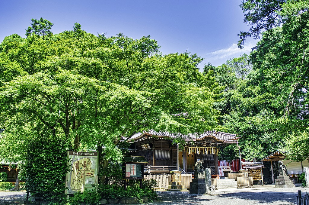 代々木八幡のおいしい居酒屋15選！おしゃれ・コスパ◎・隠れ家など飲み会にもおすすめのお店を長年関東在住のグルメライターが厳選