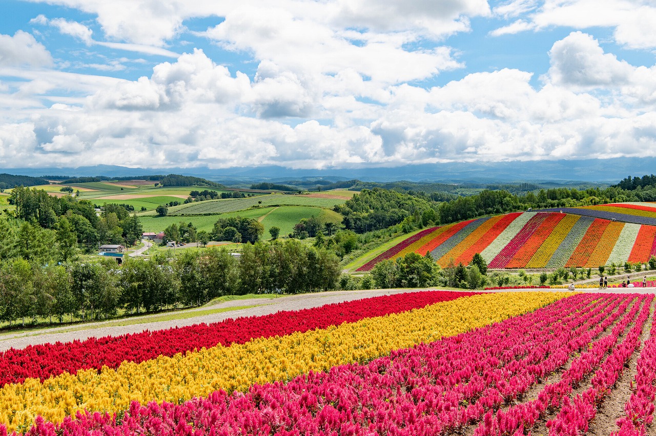 【2024年版】北海道のピクニックスポット30選！オートリゾート・公園・オートキャンプなど旅行好きな筆者が紹介